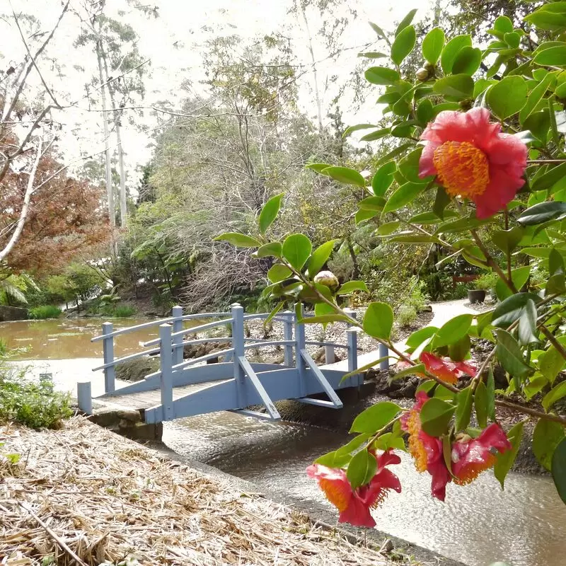 Tamborine Mountain Botanic Gardens