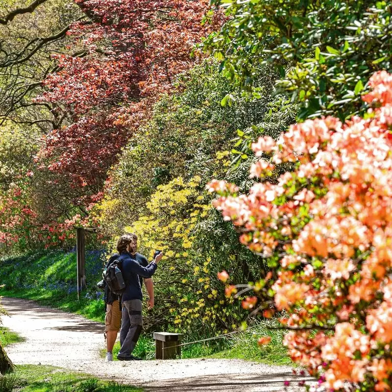 Leonardslee Lakes & Gardens