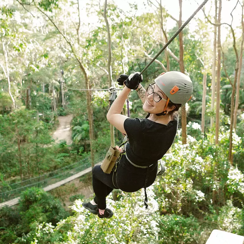 TreeTop Challenge Gold Coast Australia's Largest Adventure Park