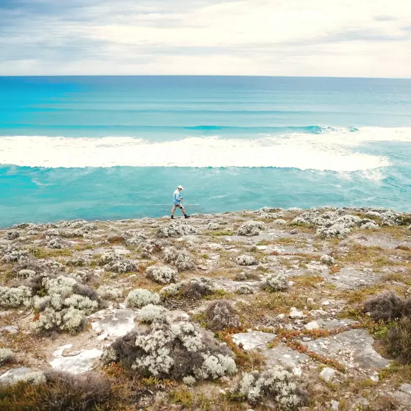 Australian Coastal Safaris