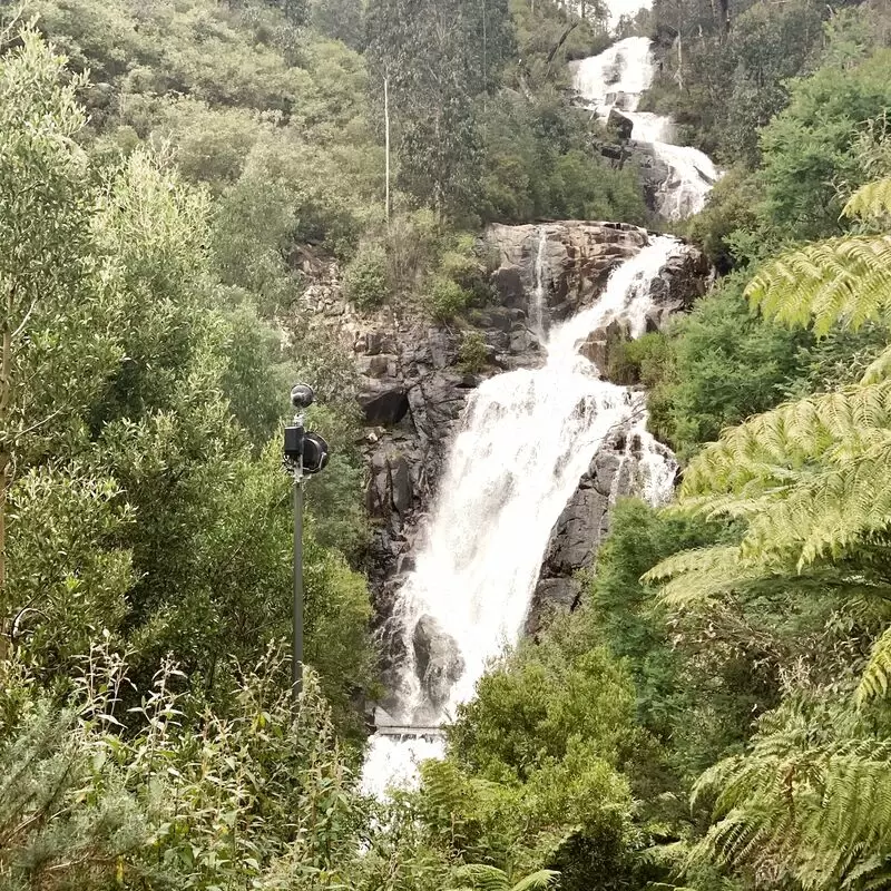 Steavenson Falls