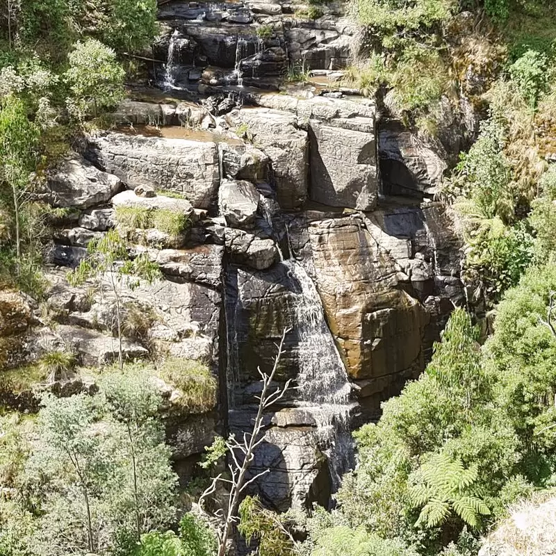 Kinglake National Park