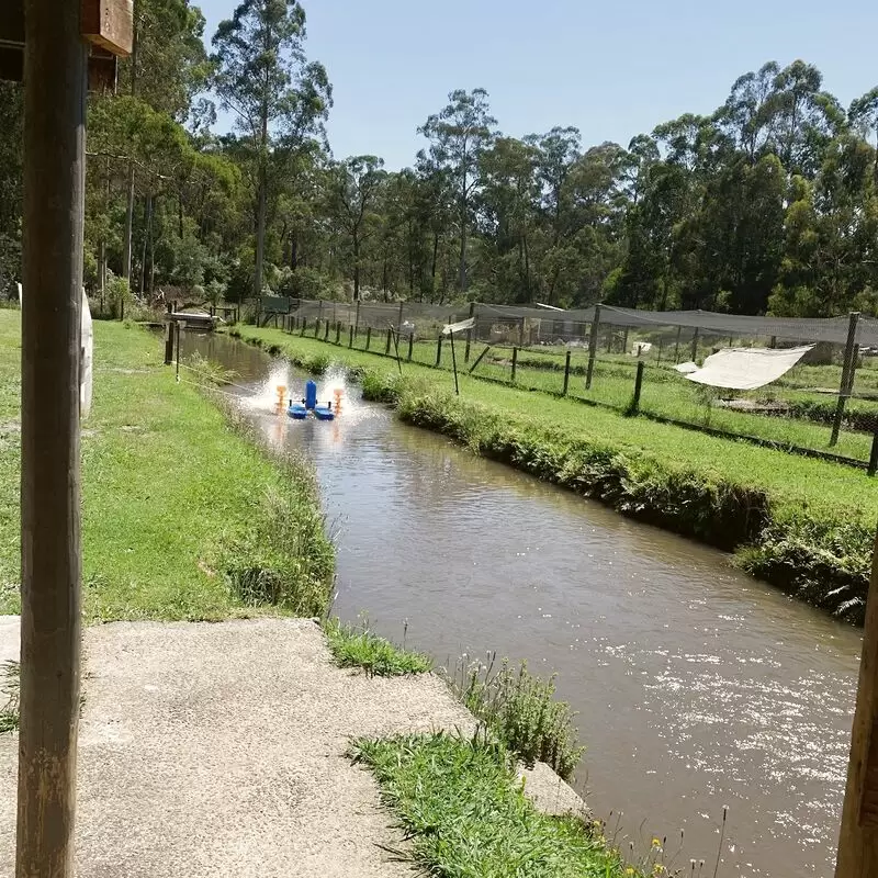 Australian Rainbow Trout Farm