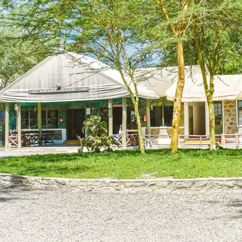 Lake Naivasha Crescent Camp