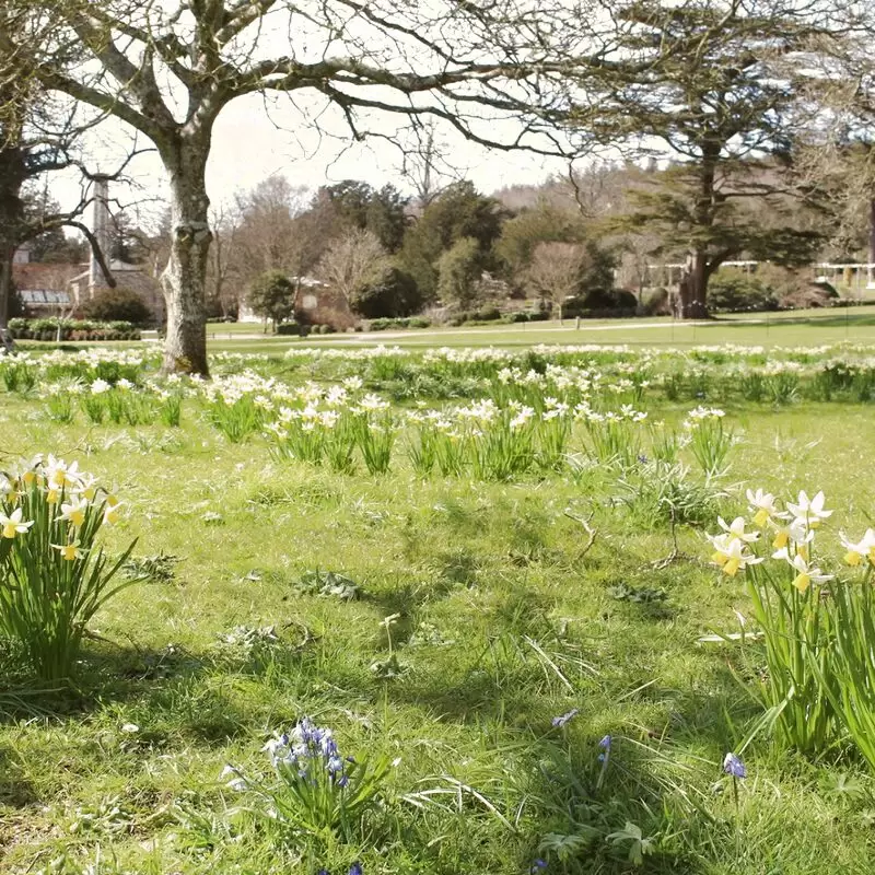 West Dean Gardens