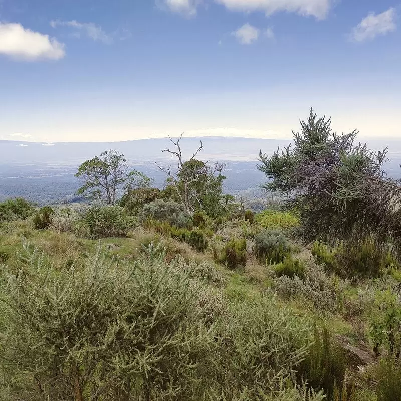 Mount Kenya National Park