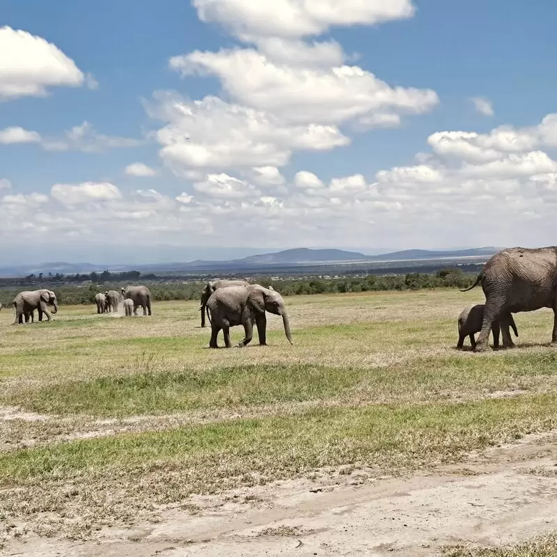 Ol Pejeta Conservancy