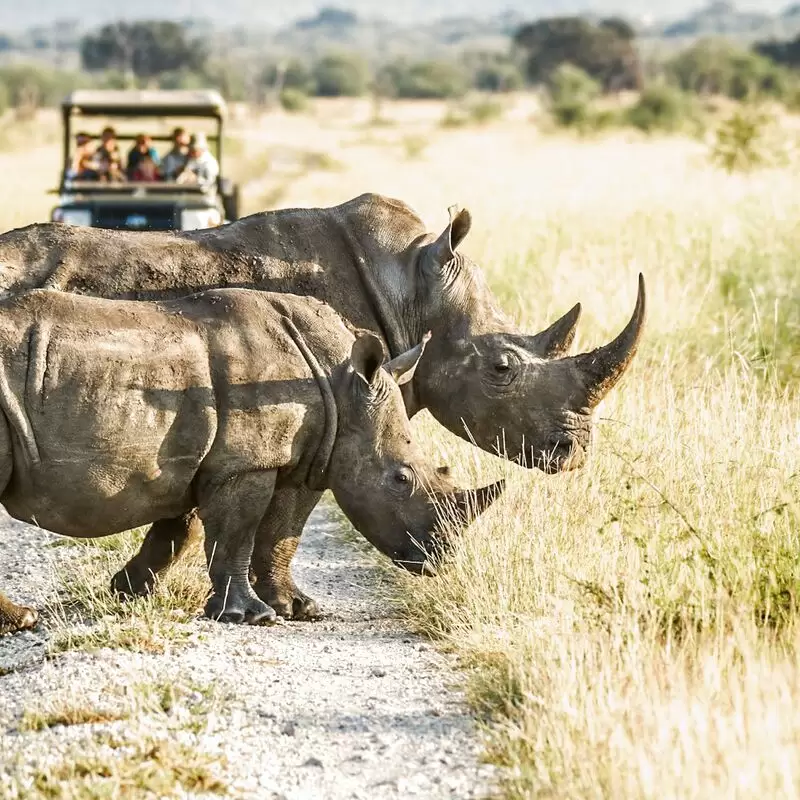 Jemu Mwenda Expeditions