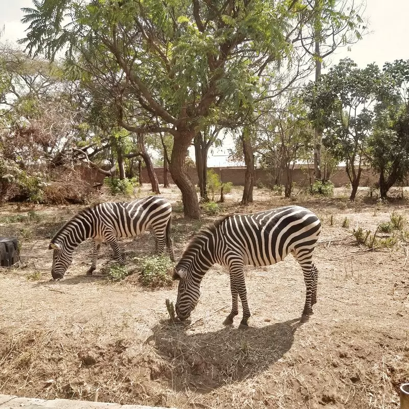 Munda Wanga Environmental Park