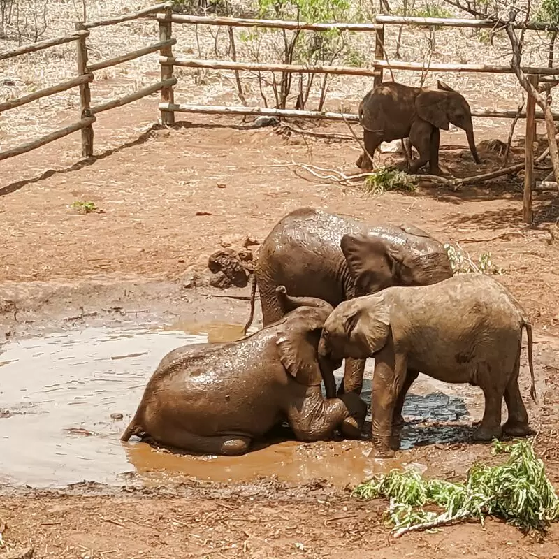 GRI Wildlife Discovery Centre