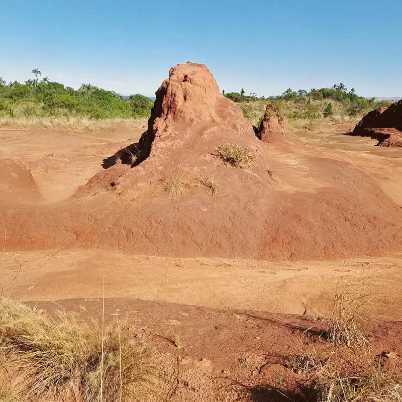 Red Desert