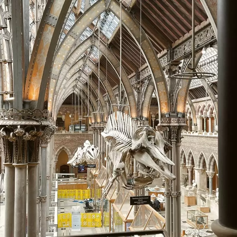 Oxford University Museum of Natural History