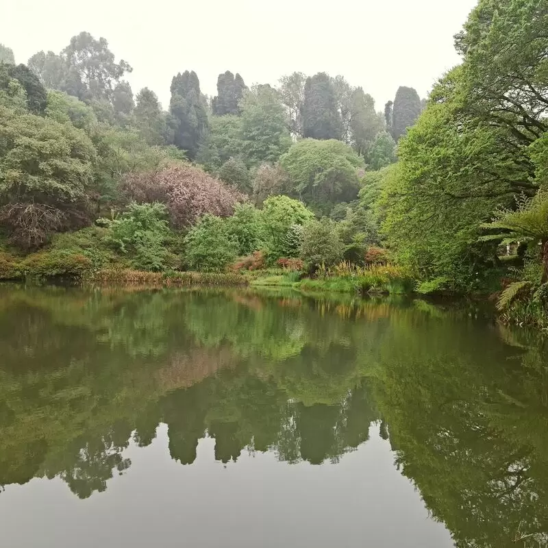 Cheerio Gardens