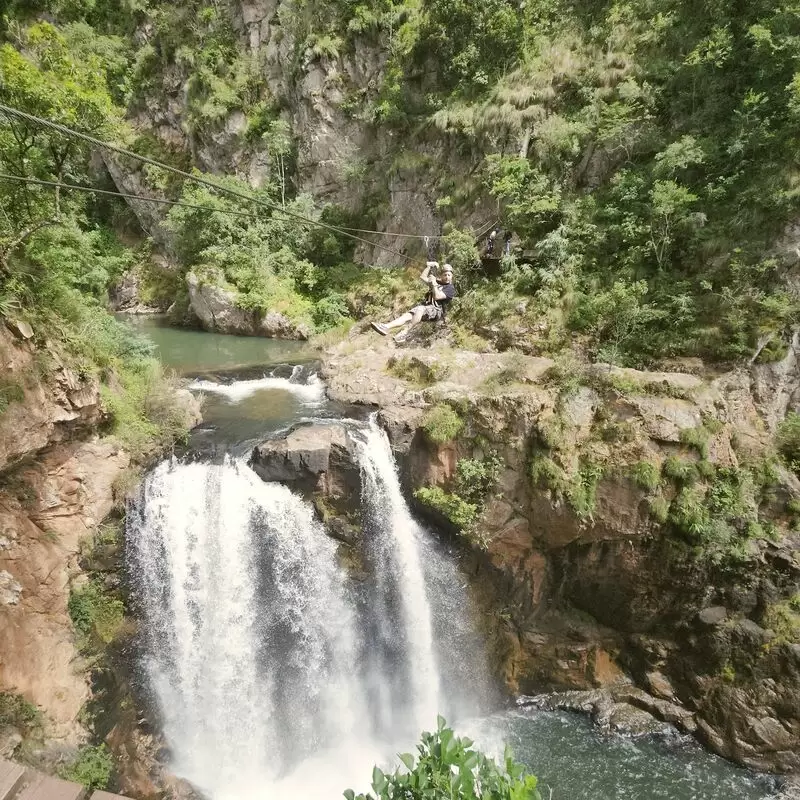 Magoebaskloof Canopy Tours