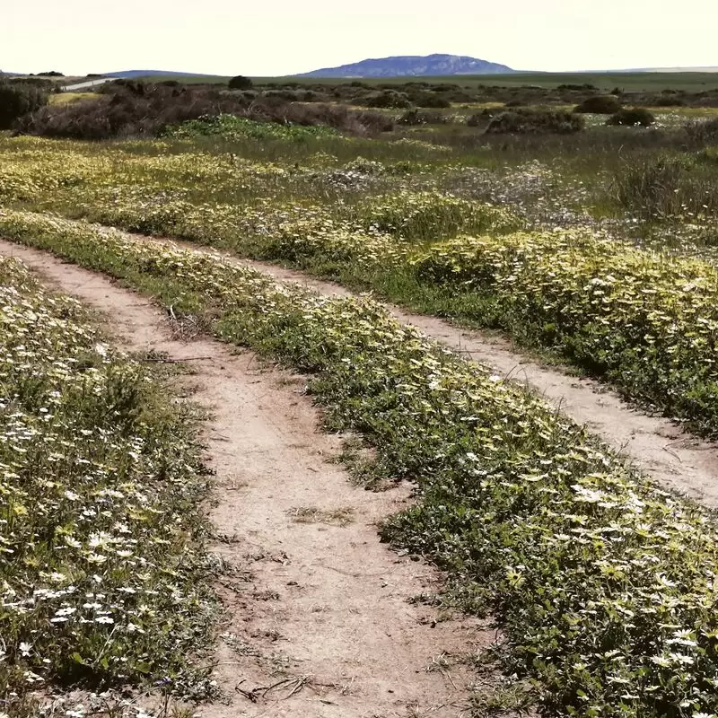 Waylands wild flower reserve