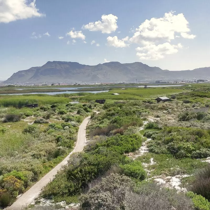 False Bay Nature Reserve Rondevlei Bird Sanctuary