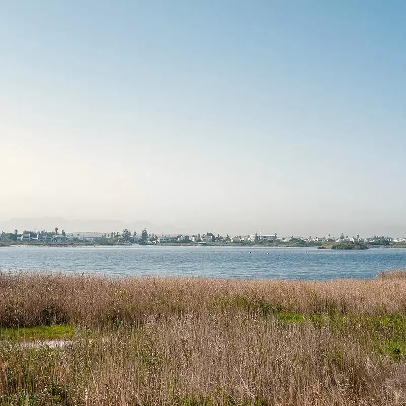 Zandvlei Estuary Nature Reserve