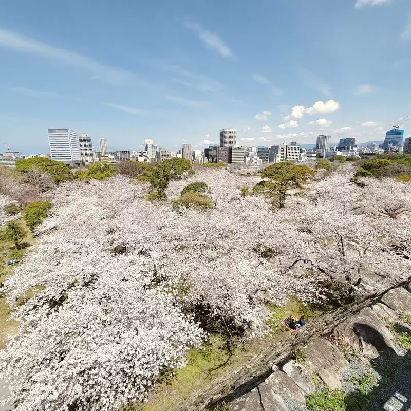 Maizuru Park