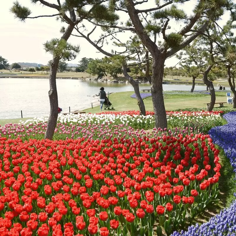 Uminonakamichi Seaside Park