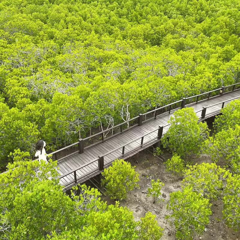 Pran Buri Forest Park