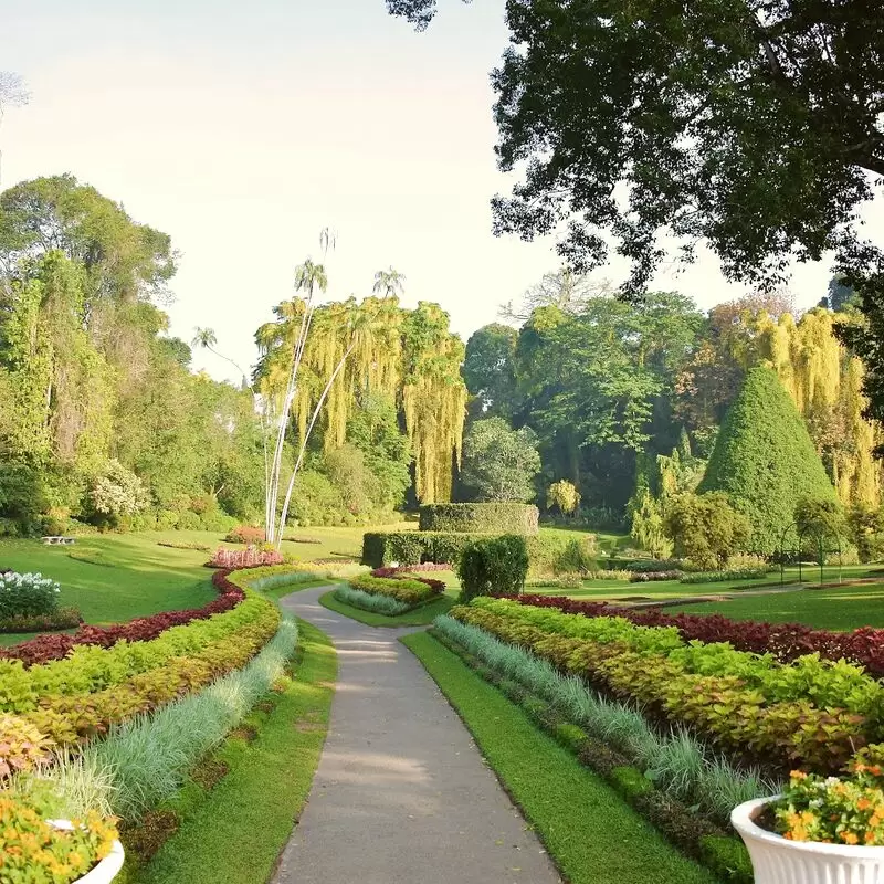 Royal Botanic Gardens Peradeniya