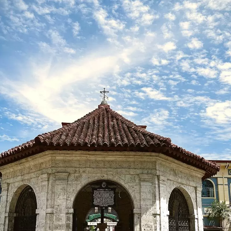 Magellan's Cross