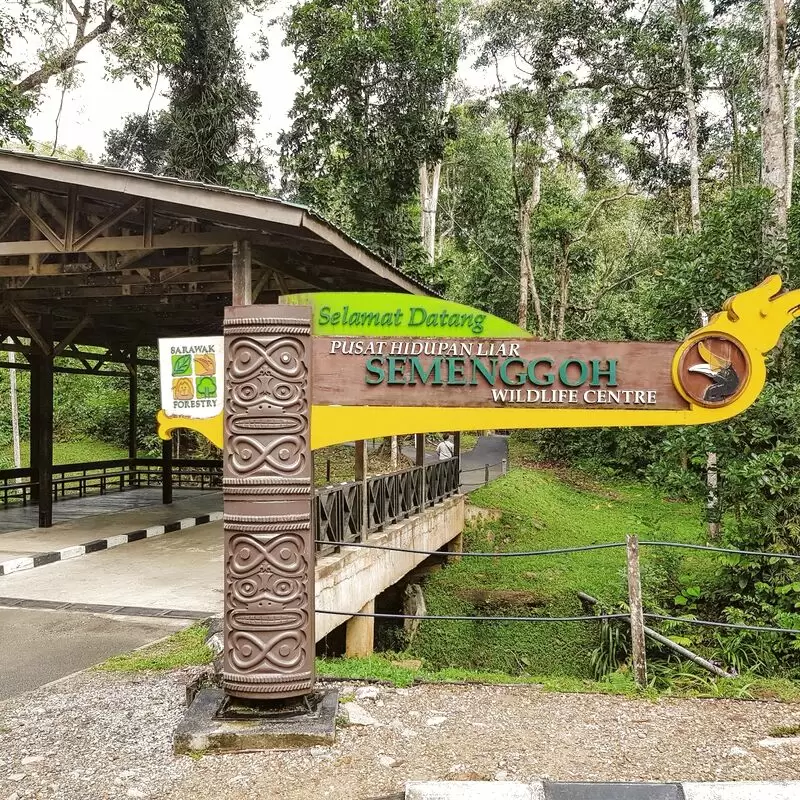 Semenggoh Wildlife Center Kuching Sarawak.