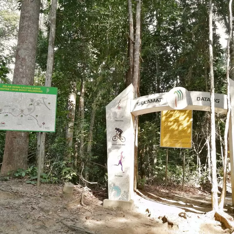 Hutan Lipur Bukit Pelindung