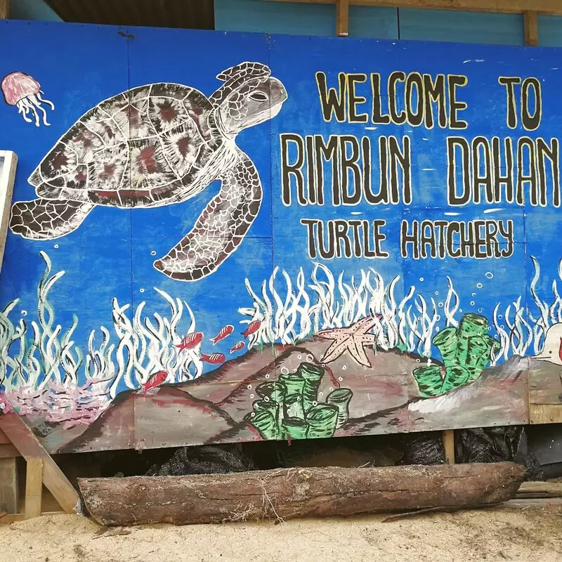 Rimbun Dahan Turtle Hatchery