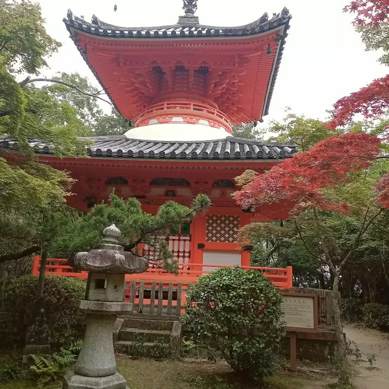 Mitaki dera