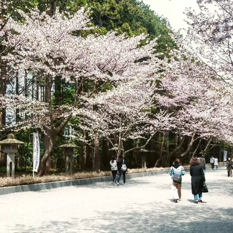 Maruyama Park