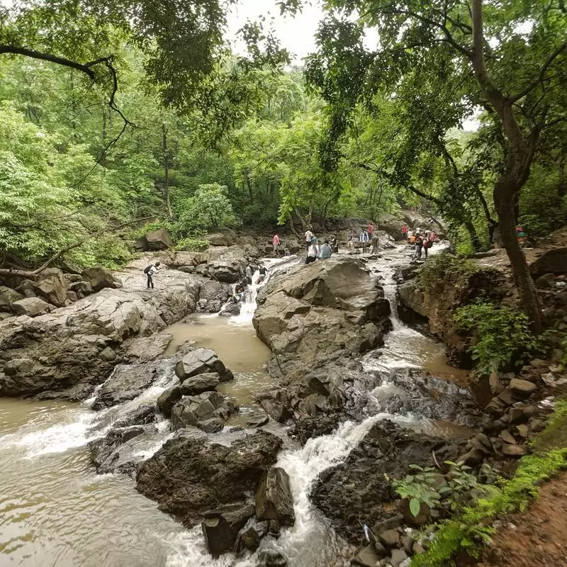 Tungareshwar Wildlife Sanctuary