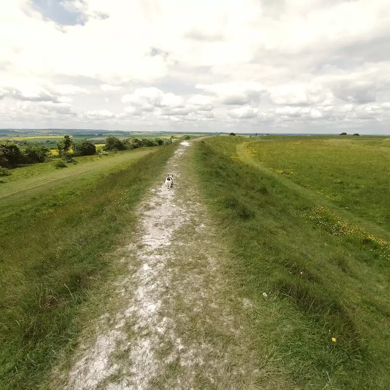 National Trust Figsbury Ring