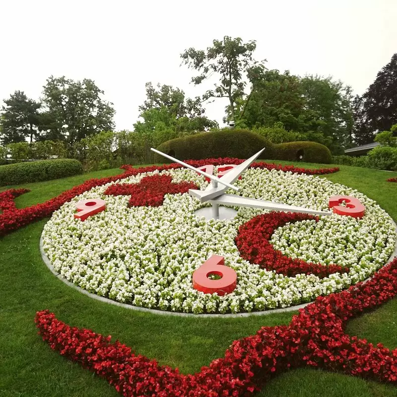 The Flower Clock