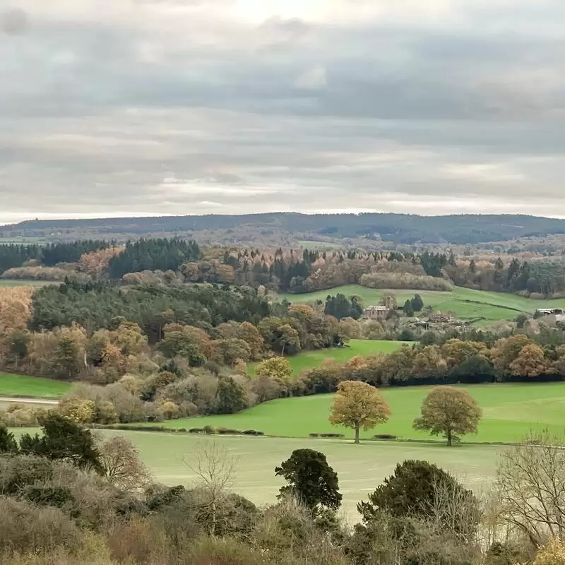 Newlands Corner