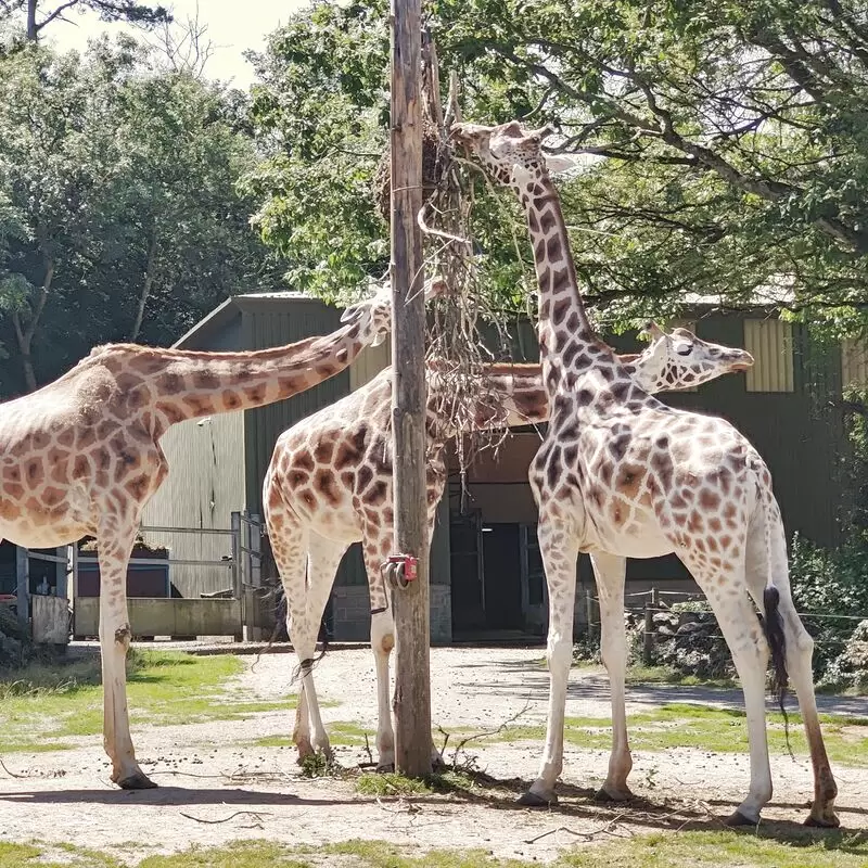 Paignton Zoo Environmental Park