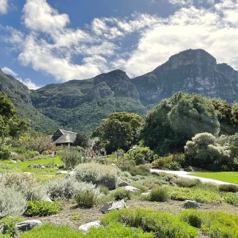 Kirstenbosch National Botanical Garden