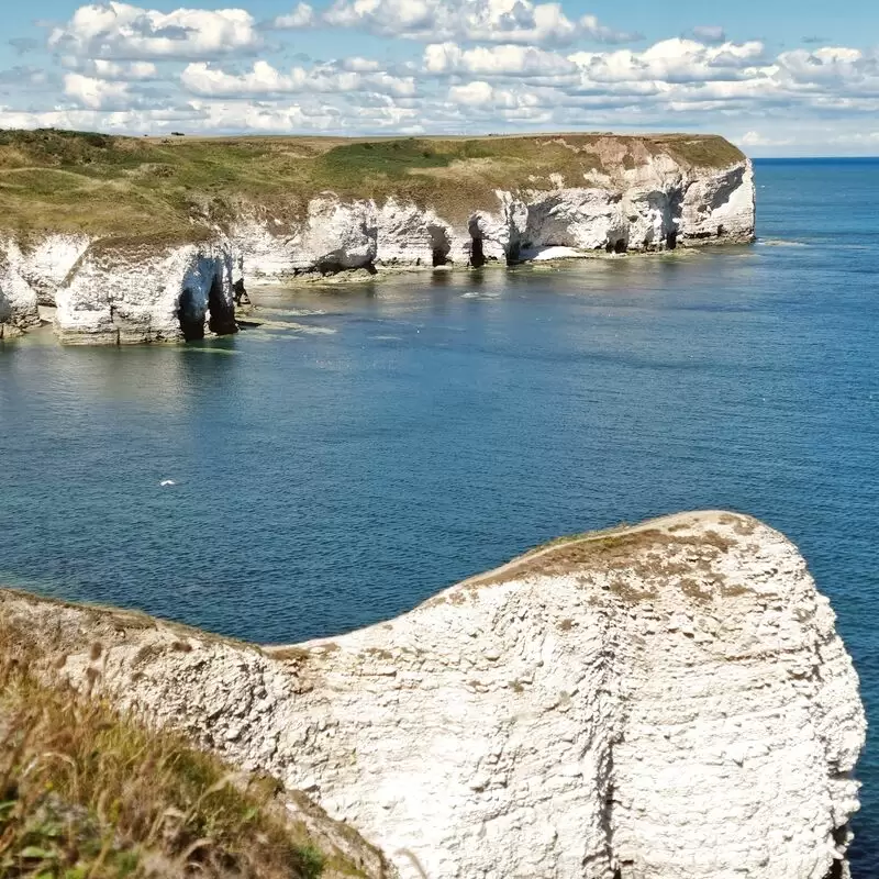 Flamborough Outer Headlands Nature Reserve