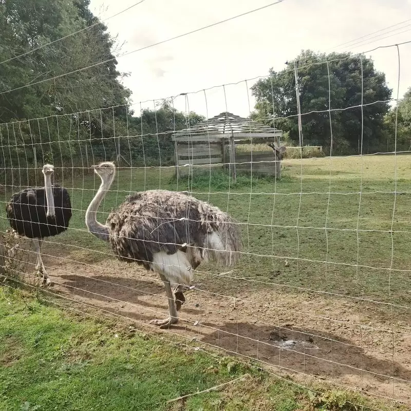 Bridlington Animal Park