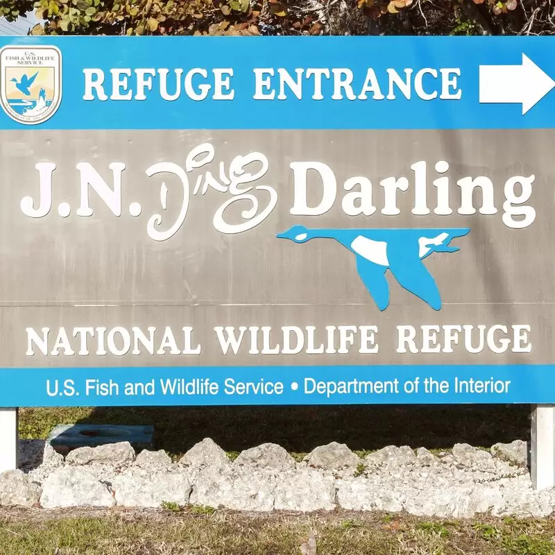 J.N.