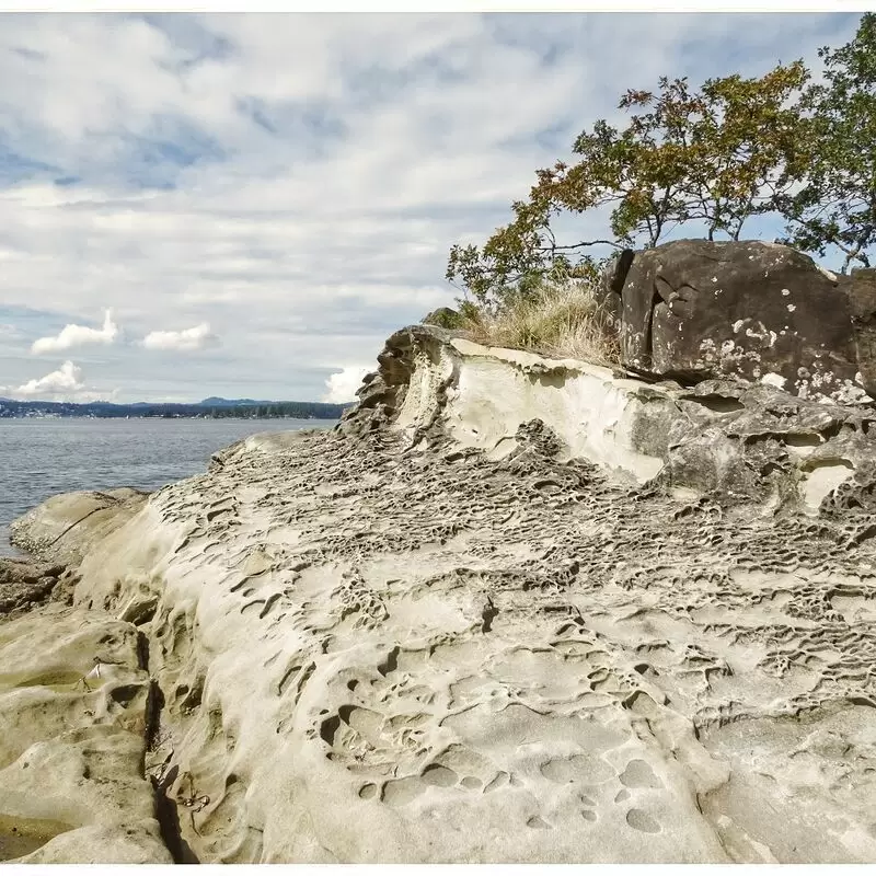 Jack Point and Biggs Park