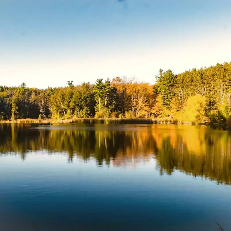 Huron Natural Area