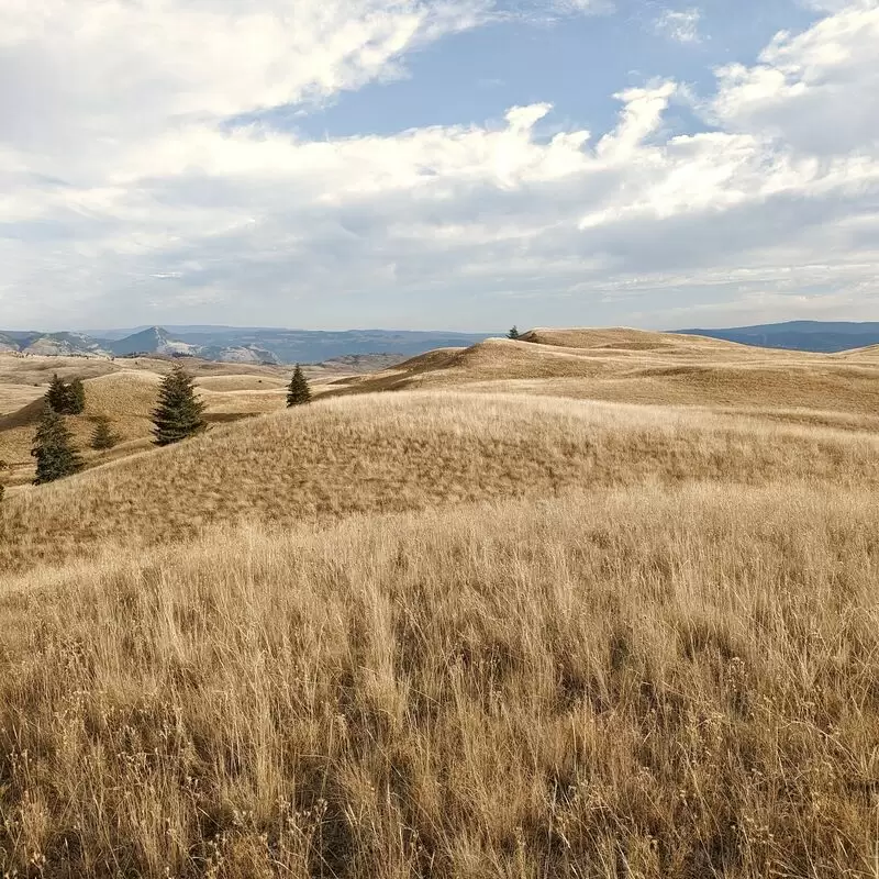 Lac Du Bois Grasslands Protected Area