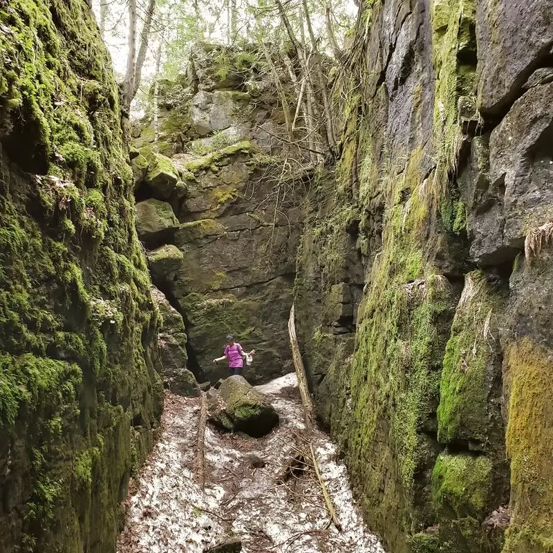 Nottawasaga Lookout Provincial Nature Reserve