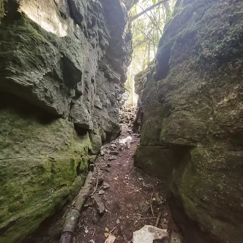 Nottawasaga Bluffs Conservation Area