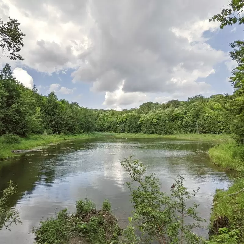 Pretty River Valley Provincial Park