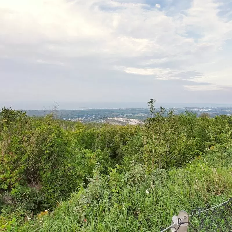 Blue Mountain Lookout Point