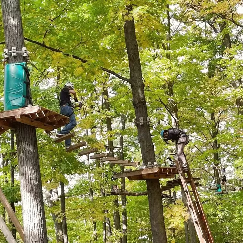 Treetop Trekking Brampton