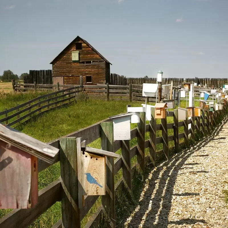 Ellis Bird Farm