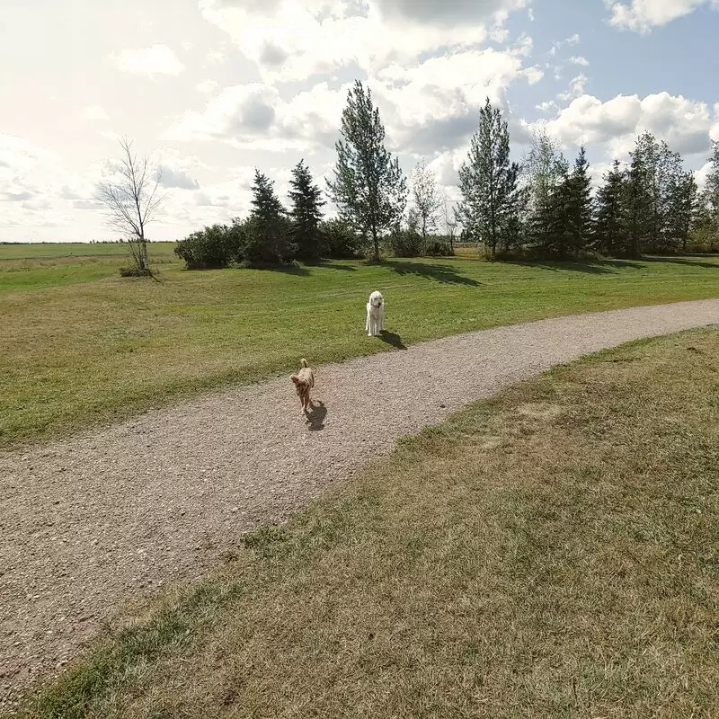 Oxbows Off Leash Dog Park